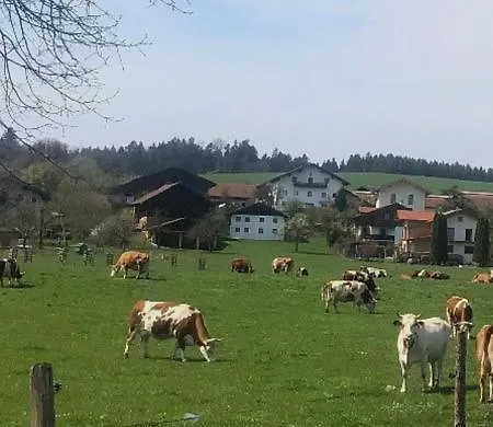 Ferienwohnung Am Nussgarterl Διαμέρισμα *